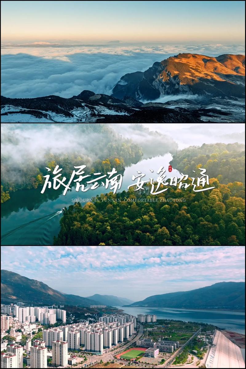 品牌策划：从战略到执行的全程导航
